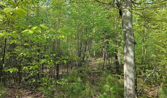 Province Road lot 26, Belmont, NH 03220