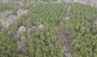 U.S. Highway 51, Bogue Chitto, MS 39629