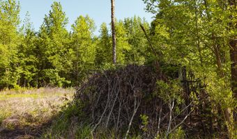 Beech Bluff Road, Beech Bluff, TN 38313