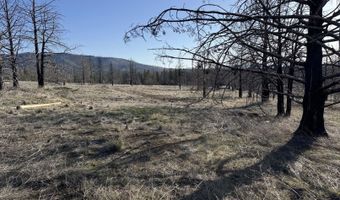 31763 Godowa Springs Rd, Beatty, OR 97621