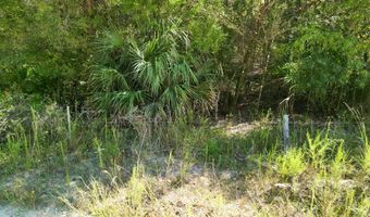 55 Th St, Bell, FL 32619