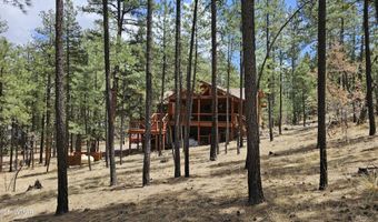 15 County Road 2065, Alpine, AZ 85920