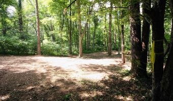 TBA BETTYS BRANCH RD X, Arvonia, VA 23004