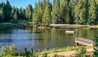 3292 El Camino Bootstrap, Arnold, CA 95223