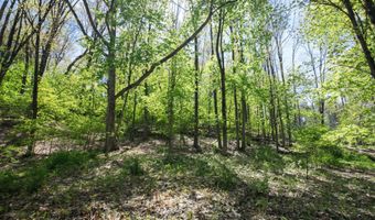 6050 Grand River Dr NE, Ada, MI 49301