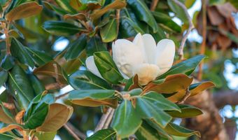 1322 Loma De Paz, Escondido, CA 92027