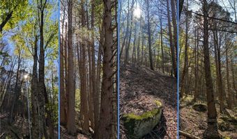 East River Road lot 5, Andes, NY 13731