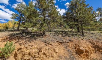 103 Gross Rd, Bailey, CO 80421