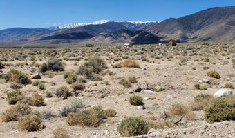 810 Chiatovich Creek Road Lot 8A1, Dyer, NV 89010