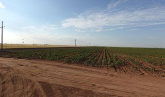 FM 597, Abernathy, TX 79311