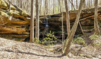 BRUSHY Ln, Arley, AL 35541