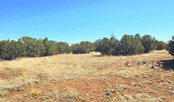 20 CO Rd, Concho, AZ 85924