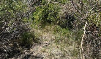 360 MOUNTAIN CREEK Rd, Dyer, NV 89010