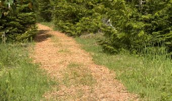 Parcel 4 Wreck Road, Alpena, MI 49707