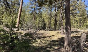 Horned Owl Lane, Bonanza, OR 97623