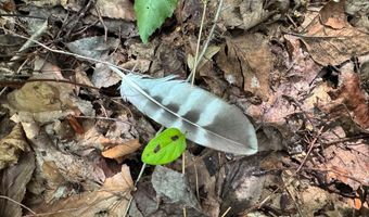 9891 Baskerville Rd, Baskerville, VA 23915