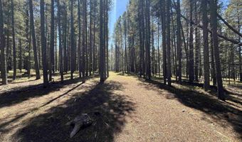S Cliff Road, Casper, WY 82601
