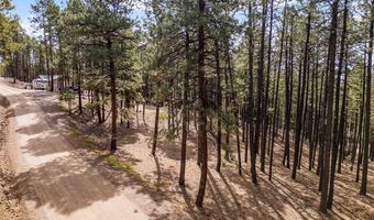 272 Timber Dr, Bayfield, CO 81122