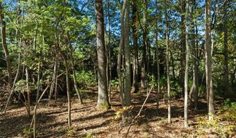 Cedar Hill Drive unit 24 24, Asheville, NC 28803