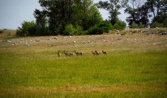 84 Bow Fiddle Ranch Rd, Centennial, WY 82070