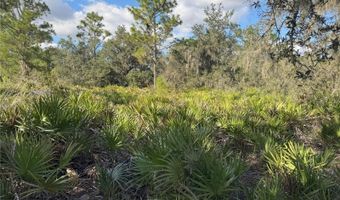 0 ALTURAS BABSON PARK CUT OFF Rd, Bartow, FL 33830