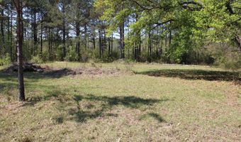 0 Breland Rd S, Bogalusa, LA 70427