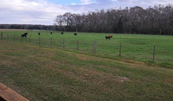 11330 Audubon Rd, Abbeville, LA 70510