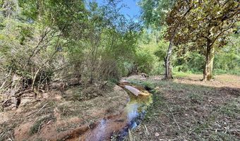 1243 Silcox Rd, Ashford, AL 36312