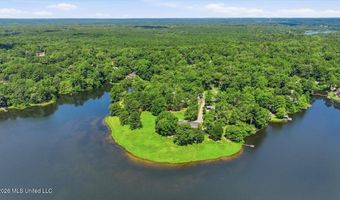 423 Robinhood Trl, Brandon, MS 39042