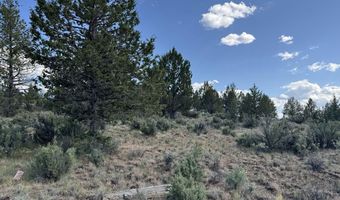 HWY 140 300, Beatty, OR 97621