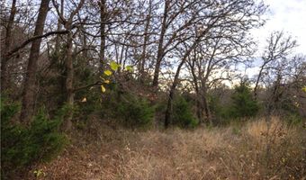 Tract 1 Acme Rd, Asher, OK 74826