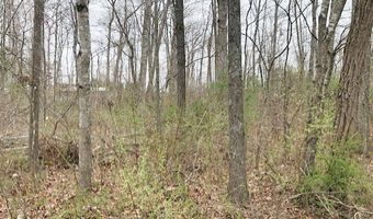 Della Lane lot 6 8, Austinville, VA 24312