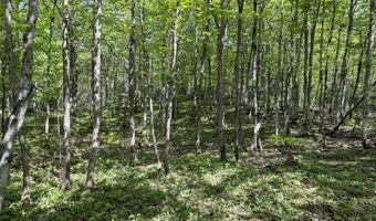 TBD Lot E Gratiot River, Allouez, MI 49805