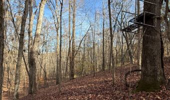 15548 Highway 15 N, Ackerman, MS 39735