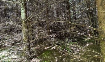 Glenn Creek Rd 300, Allegany, OR 97407