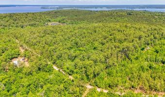 93 Acres Dell Rd, Bainbridge, GA 39819