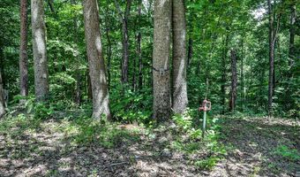 2926 Bryant Ridge Rd, Baxter, TN 38544
