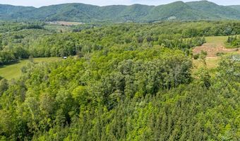 Ahart Ridge Rd lot 58 60 61, Ararat, VA 24053