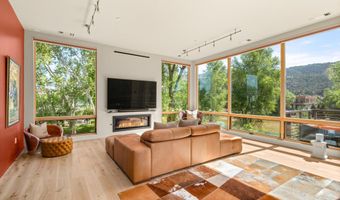 103 Willits Way 201, Basalt, CO 81621