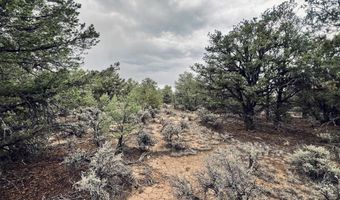 Forest Road 556, Carson, NM 87517