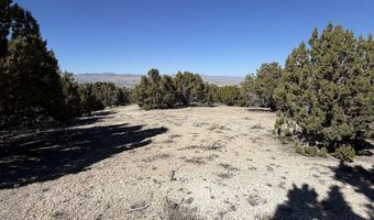 Andy's Way, Elko, NV 89801