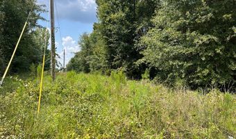 TBD County Road 57, Abbeville, AL 36310