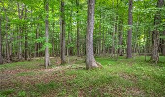 34 Stonykill & Granite Rd, Accord, NY 12404