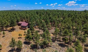 23251 Elk Trl, Aguilar, CO 81020