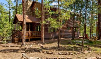 6 County Road 2070, Alpine, AZ 85920