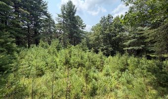 Hall Hollow Road, Austinville, VA 24312