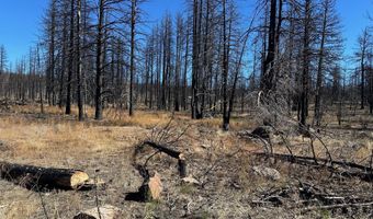 Cardinal Drive Lot 2100, Bonanza, OR 97623