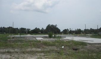 134 Grace Loop, Alma, GA 31510