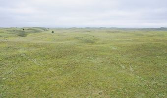 755 90 +/- Acres, Arnold, NE 69120