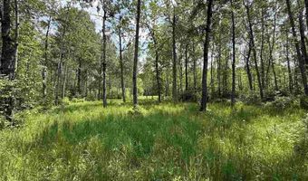 Samuelson Road-Sec22, Angora, MN 55703